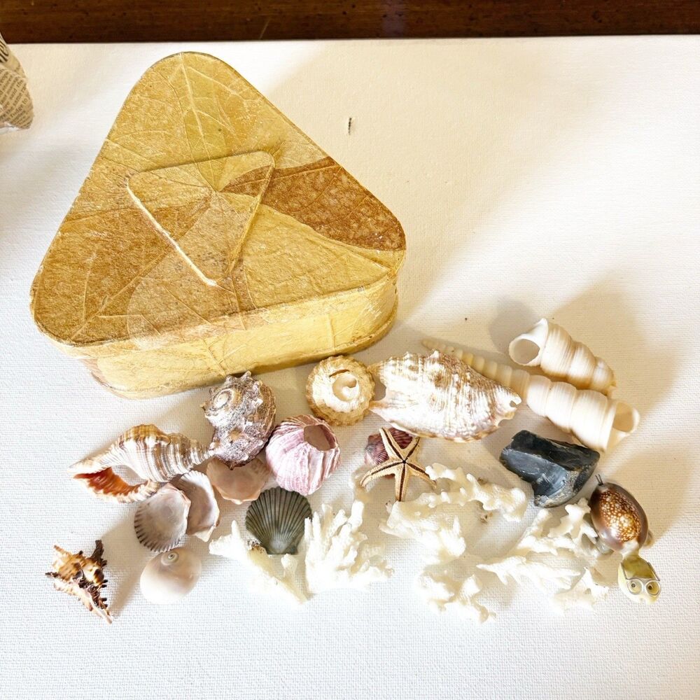 Trinket Box Full Of Seashells Coral Starfish Rock Turtle Figurine Beach Seashore